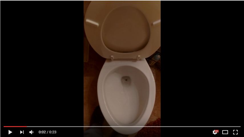 Low Flush Toilet Fail - Professional Engineering Inspections, Inc.