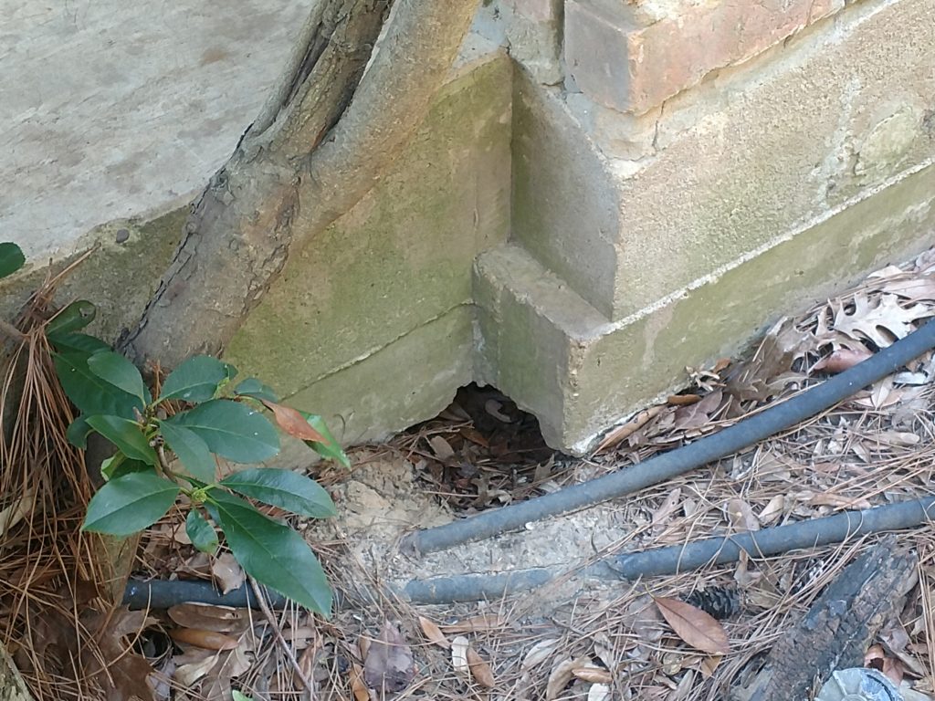 Voids At Your Foundation? Professional Engineering Inspections, Inc.