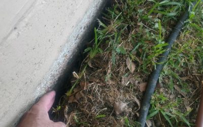 Watering Your Foundation – Foundation Watering Systems