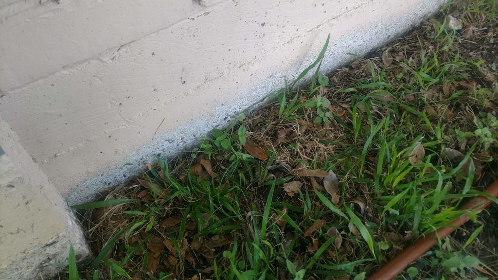 Watering Your Foundation Foundation Watering Systems Professional