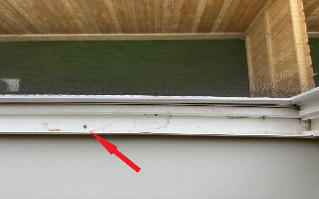 New Construction Defect – Nails Through Window Frames